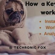 What Are Keyloggers Installing Keylogger On Victim S PC PART 2 LIVE DEMO