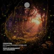 Reframe Extended Mix