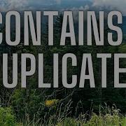LeetCode 217 Contains Duplicate Tesla Interview Practice