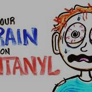 Your Brain On Fentanyl FIXED