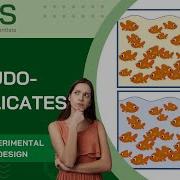 Pseudoreplication What It Is And How To Avoid It