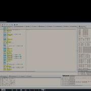Polymorphic Shellcode