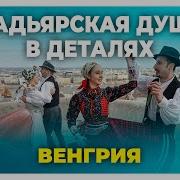 Как живут в Венгрии Причины для переезда Плюсы и минусы Венгрии как страны для жизни
