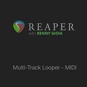 Multi Track Looper MIDI In REAPER