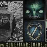 STICK TO YOUR GUNS Bringing You Down