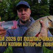 Новые приманки по голавлю щуке и жереху которые с ходу начали ловить трофейную рыбу