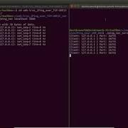Demo UDP Ping Sockets In C Ping To Localhost Server Client
