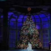 George Balanchine S The Nutcracker Teaser