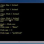 Learn Ruby Programming Lesson 7 More Attributes