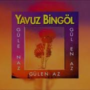 Yavuz Bingöl Yeşil Başlı Telli Turnam
