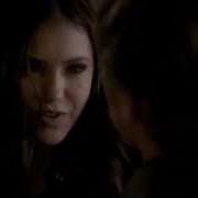 Katherine Pierce Animals