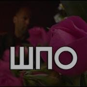MISHGONE ШПО Prod By Kall Music