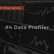 The TAZI Way Series 4 Data Profiler
