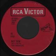 The Sidekicks Not Now 1966 Jeffrey Glenn S Lost Jukebox Volume 178