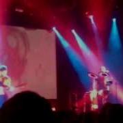 Дельфин QT Космонавт СПБ 29 09 2013