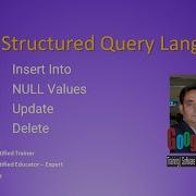 SQL Insert Into NULL Values Update Delete
