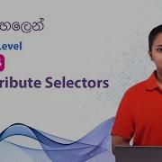 Unit 36 CSS Attribute Selectors CSS Beginner Level