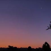 Azaleh Moonlight