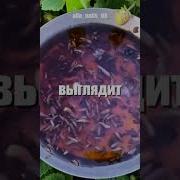 Этот старый способ от слизняков реально спасает урожай Девушка проверила его на клубнике