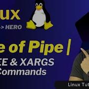 How To Use Pipe In Linux Linux TEE And XARGS Command HINDI