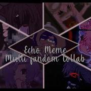 ECHO Multi Fandom Collab