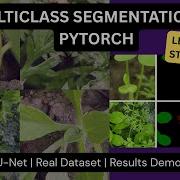 Multiclass Image Segmentation In PyTorch U Net Tutorial