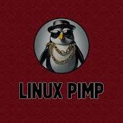 DEBIAN САМЫЙ СТАБИЛЬНЫЙ LINUX Честный обзор Debian на десктопе Перезалив Linux Pimp 2024