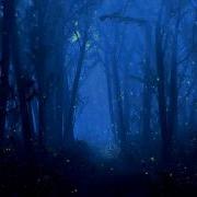 Foggy Come Into My Dreams Radio Edit