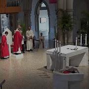 2019 04 14 April 14 2019 Palm Sunday Mass 2019