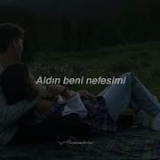 Cihan Mürtezaoğlu Bir Beyaz Orkide Lyrics
