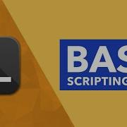 Bash Scripting