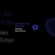 Echobots Gg Self Roles Setup Turorial
