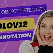 Custom Object Detection With YOLOV12 Free Image Downloader And Annotation Tool