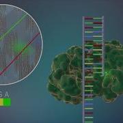 Sequencing At Speed