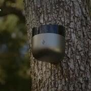 Could AI Help Detect Wildfires Here S The Technology Developers Say Is A Game Changer