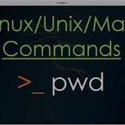 Pwd Command In Unix Linux