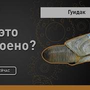 Гуидак Как это устроено Discovery