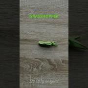 ORIGAMI GRASSHOPPER EASY CRAFT TUTORIAL MAKE INSECTS PAPER ORIGAMI INSTRUCTIONS GRASSHOPPER CRAFTS