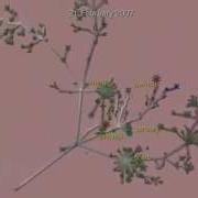 Ruslanix Com Gource Software Version Control Visualization Symfony 1 4