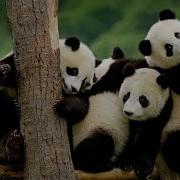 Using Groupby Function On MultiIndex DataFrame Python Pandas