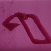 Tinlicker Feat Thomas Oliver Need You Official Music Video