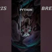 Boris Brejcha Python Unreleased