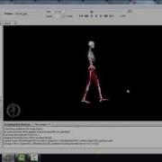 OpenSim Gateway Gait Plot