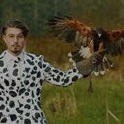 Bbno It Boy Official Music Video