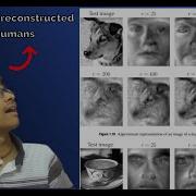 Decoding Facial Data PCA Intuition With EigenFaces Dimensionalityreduction Eigenfaces Ai