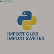 Extract Large Data Using Glob And Swifter