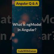 Angular NgModel
