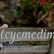 Eylem Aktaş Söyleyemedim Şarkı Sözü Lyrics HD