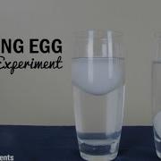 Floating Egg Science Experiment