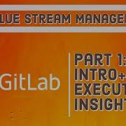 VSM Intro Executive Insights
